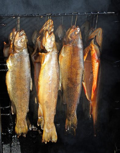 Räucherfisch Fischerei Never