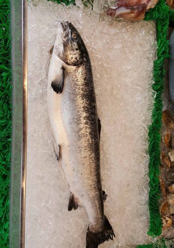 salmon-gf91a2b8cb_1920